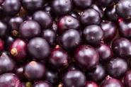 side effects of acai berries