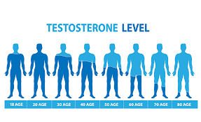 Testosterone and Aging: How Hormone Levels Change over Time and What It Means for Your Health