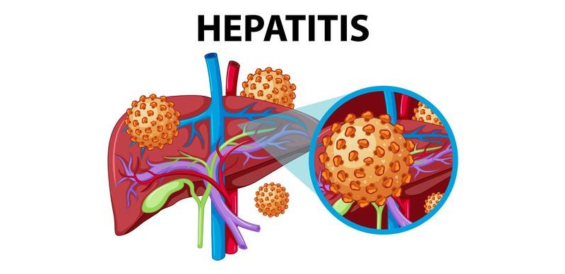 How is Hepatitis Transmitted